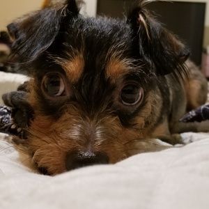 Meet your Posher, Paulina